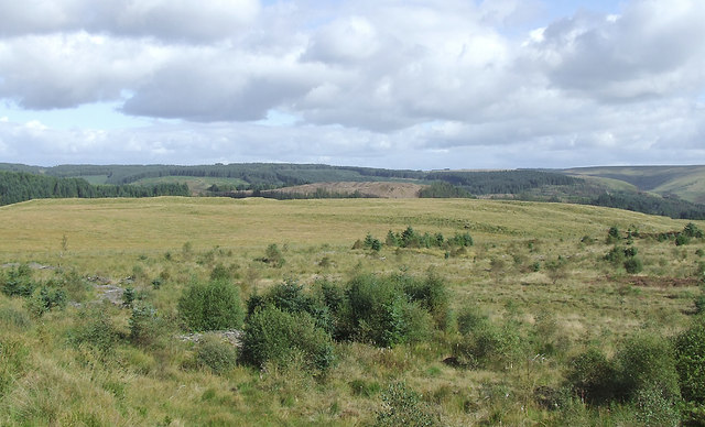 Moorland and forest south-east of Soar-y-Mynydd, Ceredigion