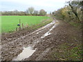 Muddy bridleway