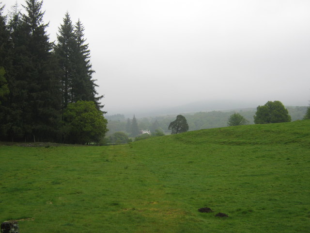 Looking towards Bardrochwood on a misty day