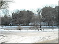 Blatchington Pond Seaford Jan 7th 2010 10. 30am