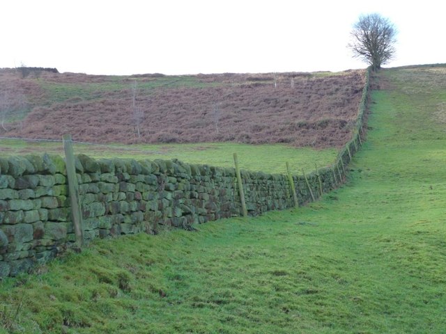 Green field, green wall