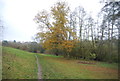 Autumnal colours, Loose Valley