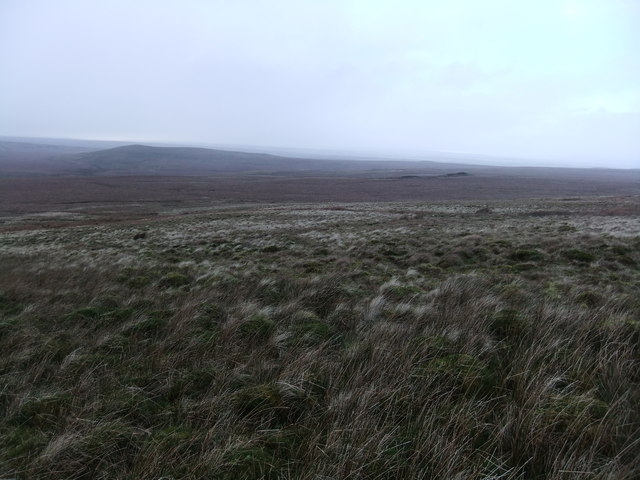 Across West Moor Bottom
