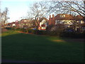 Shirehall Park from Hendon Park