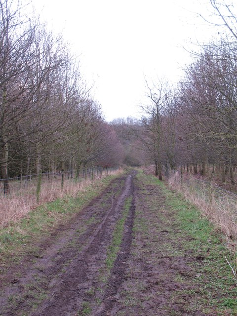 Bridleway to Spofforth