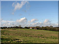 Fields at Cherryground, Hintlesham