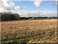 Stubble field south of Thorpe