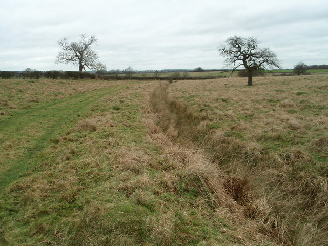 Grazing land and bridleway near Turvey