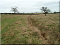 SP9652 : Grazing land and bridleway near Turvey by Michael Trolove