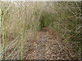 SP9752 : Footpath near the railway line at Turvey by Michael Trolove