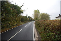 TR1565 : Thornden Wood Rd by N Chadwick