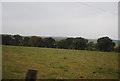 Farmland and hedge