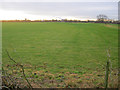 Meadow near South Muskham