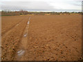 Footpath near Grange Farm