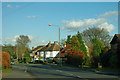 Houses on Crofton Lane