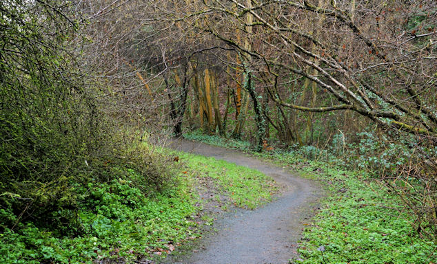Path, Glenlyon, Holywood (3)
