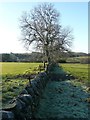 Dry stone wall