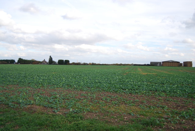 View to New Barn Farm