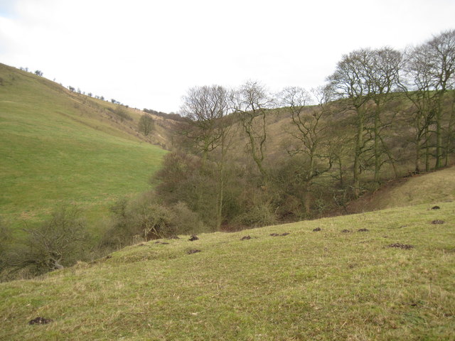 Deep  Dale  looking  up  to  Hanging  Grimston  Wold