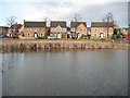 TL1795 : Hampton Hargate: Hope Pond by Nigel Cox