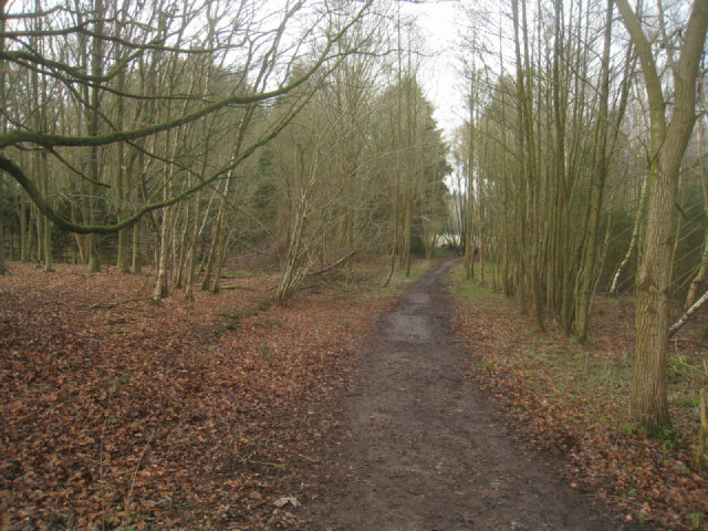 Footpath in to Sandford Woods
