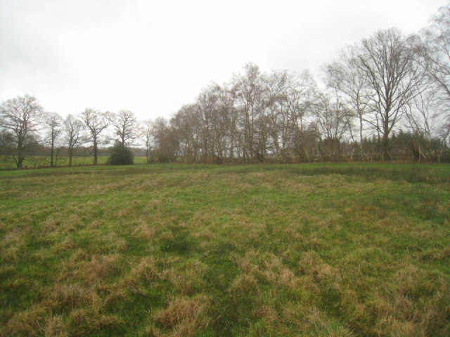 Northern corner of Frith Common