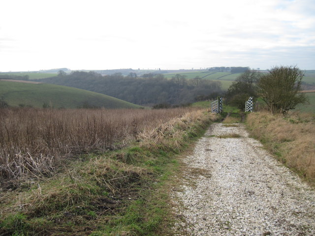 Track  down  into  Pluckham  Dale