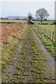 Bridleway near Red Gates