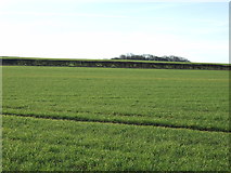 SE3835 : Farmland off Bog Lane by JThomas