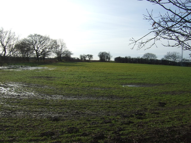 Farmland near Woodlands Farm