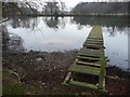 Old jetty on the Long Pool, Onslow Park