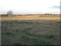 View towards Highwood Farm