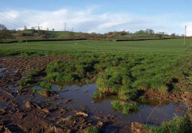 Field near Curscombe