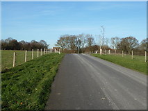 TQ3620 : Access road to Wivelsden Farm by Dave Spicer