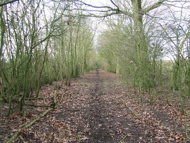 Footpath