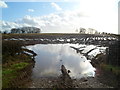ST0374 : Waterlogged field on the south side of the A48 east of Cowbridge by Jaggery