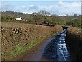 Lane past New Park Farm