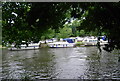 Boats near Allington Marina