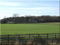 SE4143 : Farmland, West Woods Farm by JThomas