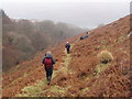 Nant Cwm Du, Troedyrhiw