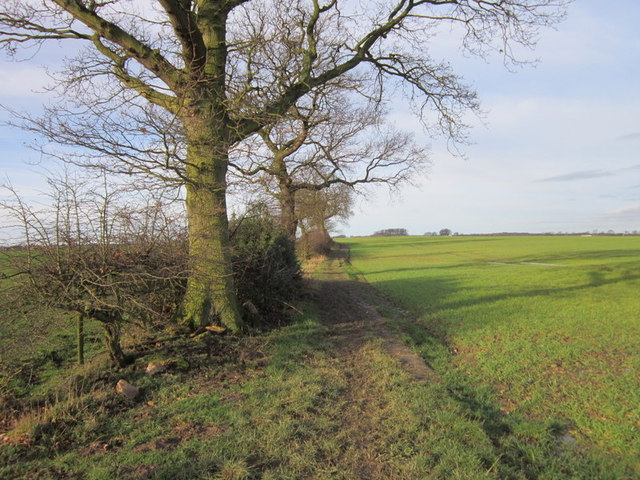A path leading to a disused railway line