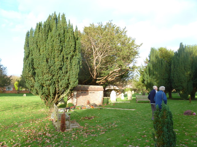 St Peter's at St Mary Bourne- churchyard visitors