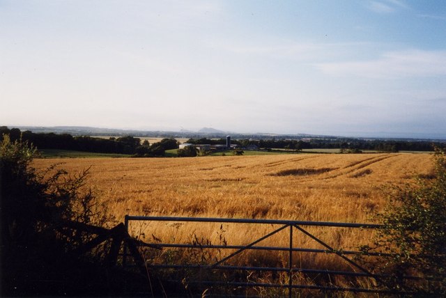 Barley field at Shewington