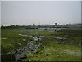 Lake from Grove Rd Fields