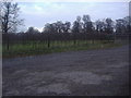 Fields by Snowerhill Farm entrance