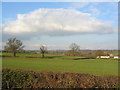 Farmland near Allesley