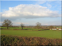 SP2981 : Farmland near Allesley by E Gammie