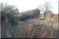 Cuckoo way at Walford Road looking west