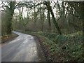 ST1601 : Road through Combe Wood by Derek Harper