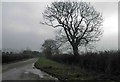 Passing point (and lay by) on Mapelbridge Lane